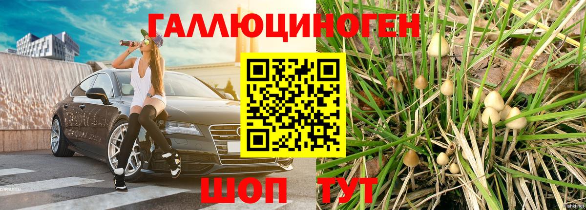 Лянтор  Псилоцибиновые грибы мухоморы  Вход с VPN 